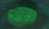 A Grove Lily Pad